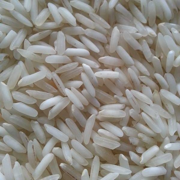 PR 14 rice grains