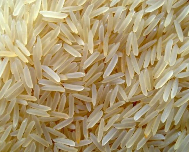 1121 Basmati Golden Sella rice grains