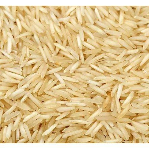 1509 Basmati Golden Sella rice grains