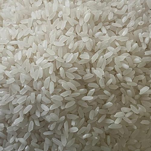 Swarna rice grains