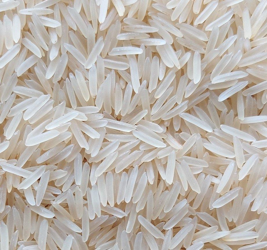 1121 Basmati Sella rice grains